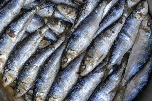 인도네시아 발리 우붓의 길거리 시장에서 소금에 절인 바다 물고기. 해산물 개념입니다. 요리용 생선, 클로즈업 — 스톡 사진