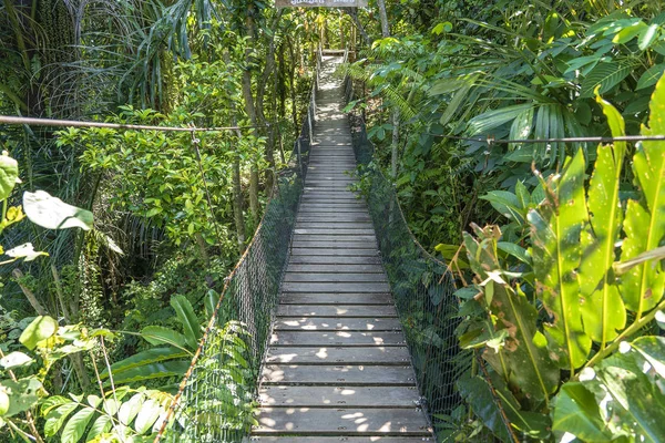 Puente colgante en la selva cerca de las terrazas de arroz en la isla Bali, Indonesia —  Fotos de Stock