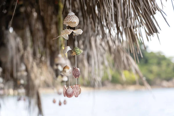 Muscheln hängen an den Seilen an einem tropischen Strand, Thailand, Nahaufnahme — Stockfoto