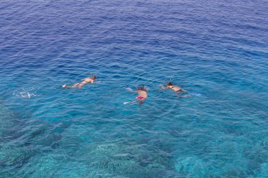 Üç genç kız Kızıldeniz, Sharm El Sheikh, Mısır üzerinde mercan resif üzerinde mavi sularda dalış. İnsanlar ve yaşam tarzı kavramı. Üstten görünüm