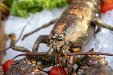 Tayland sokak pazarında deniz taze ıstakoz. Deniz ürünleri konsepti. Yemek pişirmek için ham ıstakoz, çekim