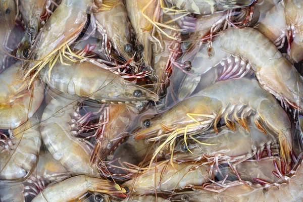 Zee verse garnalen op straatmarkt in Thailand. Seafood concept. — Stockfoto