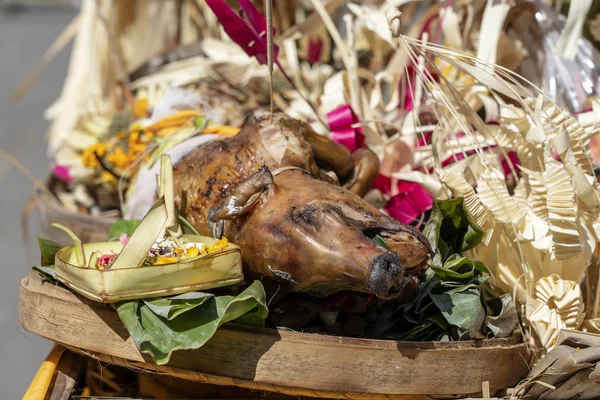 Suckling pig for balinese hindu offering ceremony on central street in Ubud, Island Bali, Indonesia . Closeup — Stock Photo, Image