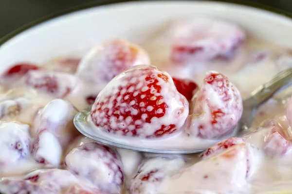 Κόκκινη φράουλα και λευκό γιαούρτι μπρούλι. Επιδόρπια φρούτων στο πρωινό με σφήνες εντελώς ώριμα στην εποχή φράουλα, κοντινό πλάνο — Φωτογραφία Αρχείου