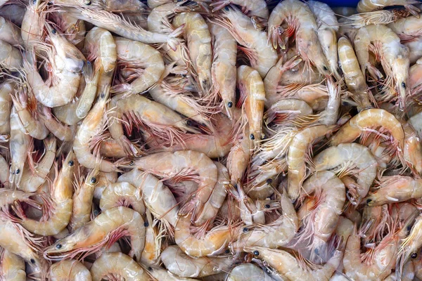 Crevettes fraîches de mer au marché de rue en Thaïlande. Concept de fruits de mer . — Photo