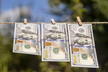 Yeşil doğa arka plan asılı 100 dolarlık banknot. Dolar lar bir ipe asılı. Yakın çekim