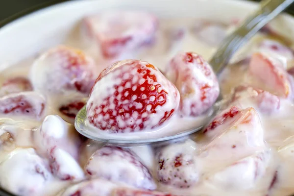 Red strawberry and white yogurt brulee. Fruit dessert on breakfast with wedges of perfectly ripe in season strawberry, closeup — Stock Photo, Image