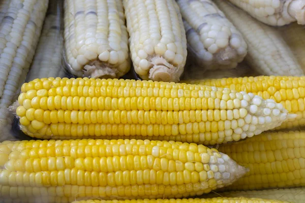 Gotowane biały i żółty kukurydzy na sprzedaż na rynku żywności ulicznej w Tajlandii, zbliżenie — Zdjęcie stockowe