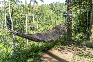 Bambu hasır hamak ada Bali tropikal orman yanında, Endonezya