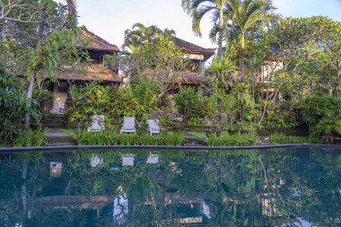 Ubud tropikal bir bahçe ve yüzme havuzu görünümü, Bali, Endonezya , yakın