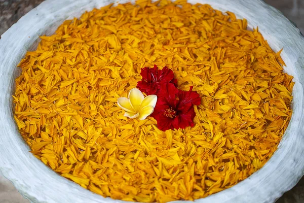 Vaso é preenchido com água e decorado com folhas de laranja e belas flores vermelhas no jardim tropical. Island Bali, Indonésia. Fechar — Fotografia de Stock