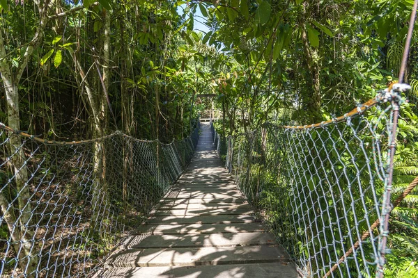 Zavěšovací most v džungli poblíž terasy s rýží na ostrově Bali, Indonésie — Stock fotografie