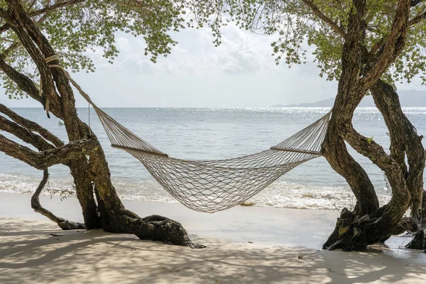 Hamaca cuelga de un árbol tropical sobre el mar de arena de verano en la isla de Phangan, Tailandia. Verano, viajes, vacaciones y concepto de vacaciones —  Fotos de Stock