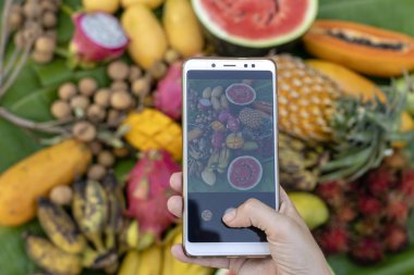 Kadın el tropikal meyve telefon fotoğrafçılığı almak. Tatlı Mango, papaya, pitahaya, muz, karpuz, ananas. RAW Vegan Vejetaryen Sağlıklı gıda