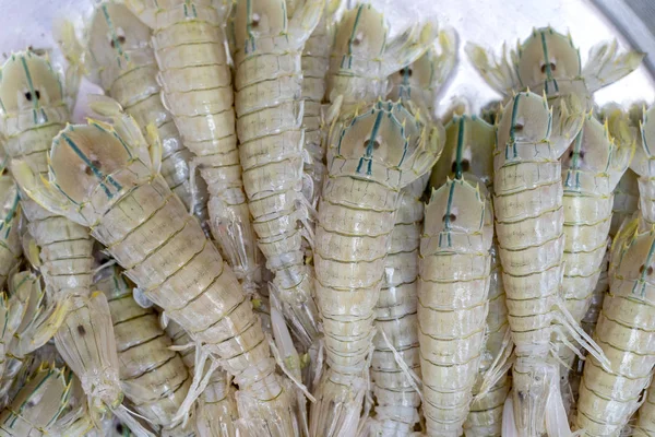 Морські свіжі креветки на ринку вулиць Таїланду. Концепція морепродуктів. — стокове фото
