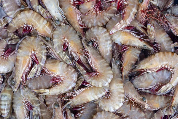 Meer frische Garnelen auf dem Wochenmarkt in Thailand. Meeresfrüchte-Konzept. — Stockfoto