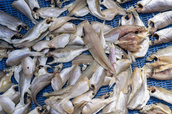 Meeresfischfilet auf dem Straßenmarkt in Thailand. Meeresfrüchte. rohes Fischfilet zum Kochen, Nahaufnahme — Stockfoto