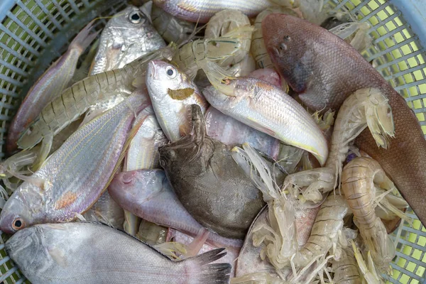 Gamberetti freschi di mare e pesce al mercato di strada in Thailandia. Concetto di frutti di mare . — Foto Stock