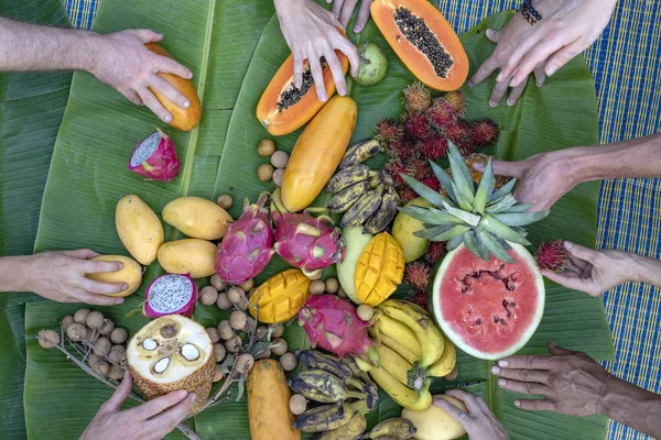 Tropische Früchte auf grünen Bananenblättern und Menschenhänden. Leckeres Dessert aus nächster Nähe. Mango, Papaya, Pitahaya und Hände, Draufsicht Stockbild