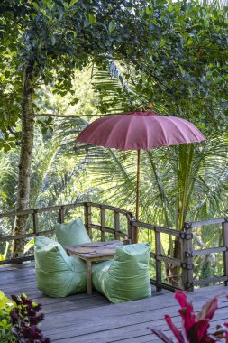 Rekreasyon alanı ve yeşil yaprakları palmiye ağaçları Ubud, pirinç terasları yakınındaki adanın Bali, Endonezya