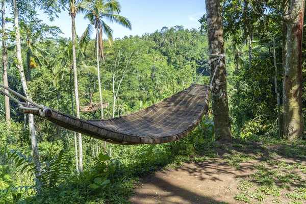 インドネシア・バリ島の熱帯ジャングルの隣にある竹の芯ハンモック — ストック写真