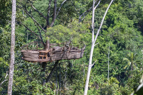 Extreme recreatiegebied op een hoge tropische boom in de jungle in de buurt van de rijstterrassen in eiland Bali, Indonesië — Stockfoto