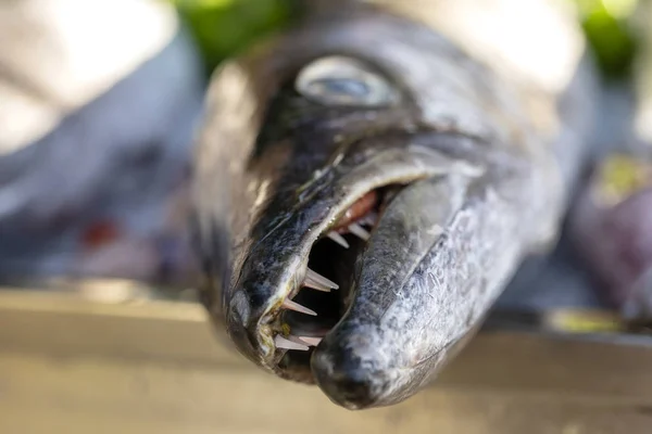 Близько до зубів каруселі. Морські свіжі рибні казарми на вуличному продовольчому ринку. Концепція морепродуктів. Сирі казарми для приготування їжі — стокове фото
