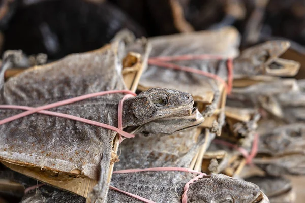 Getrockneter Gecko, der für medizinische Zwecke in der chinesischen Apotheke verkauft wird. chinatown market in singapore. Nahaufnahme — Stockfoto