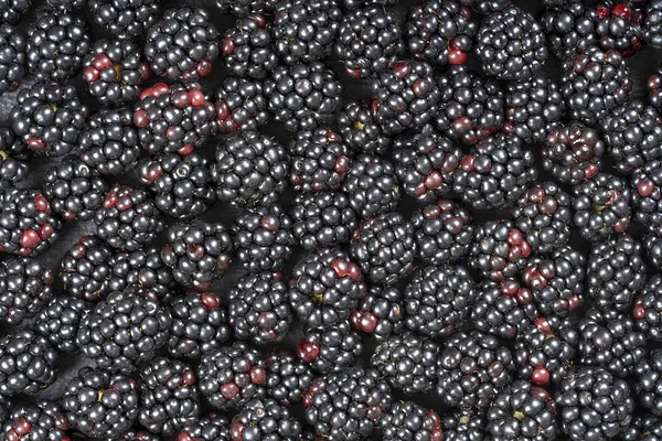 Achtergrond van verse bramen, close-up. Veel rijpe sappige wilde fruit rauwe bessen liggend op de tafel — Stockfoto