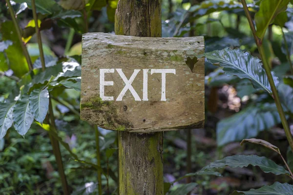 Texto de salida en un tablero de madera en una selva de la selva tropical de la isla de Bali, Indonesia. Salida de la inscripción signo de madera en los trópicos asiáticos . — Foto de Stock