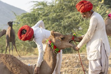 Pushkar Camel Mela, Rajasthan, Hindistan sırasında Hintli adam ve solana
