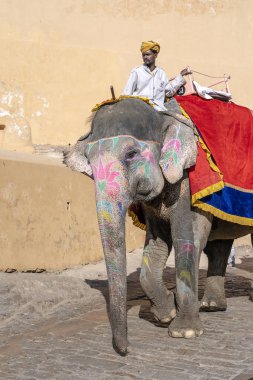 Dekore filler Jaipur Amber Fort turistlere binmek, Rajasthan, Hindistan