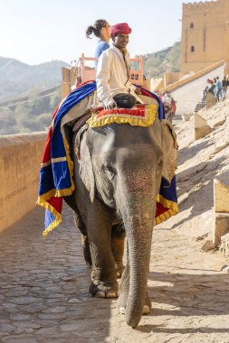 Dekore filler Jaipur Amber Fort turistlere binmek, Rajasthan, Hindistan