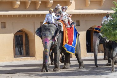Dekore filler Jaipur Amber Fort turistlere binmek, Rajasthan, Hindistan