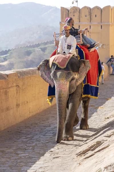 Украшенные слоны ездят на туристах по янтарному форту в Джайпуре, Раджастан, Индия — стоковое фото
