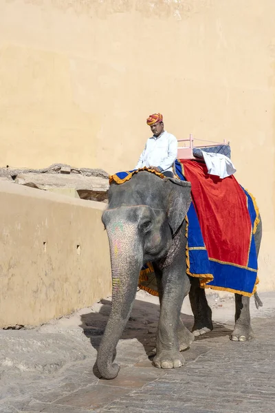 Gli elefanti decorati cavalcano i turisti sul forte di Amber a Jaipur, Rajasthan, India — Foto Stock