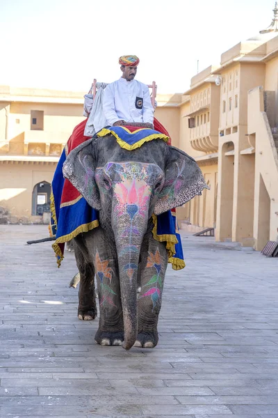 Dekorerade elefanter rida turister på Amber fort i Jaipur, Rajasthan, Indien — Stockfoto