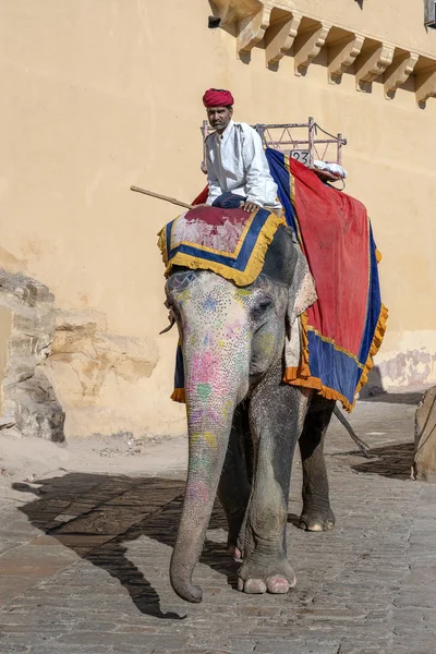 Decorated elephants ride tourists on Amber Fort in Jaipur, Rajasthan, India Royalty Free Stock Images