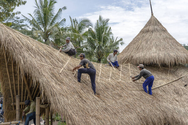 Local men fixing a new straw roof in Ubud, island Bali, Indonesia. Construction workers working on a building thatch roof