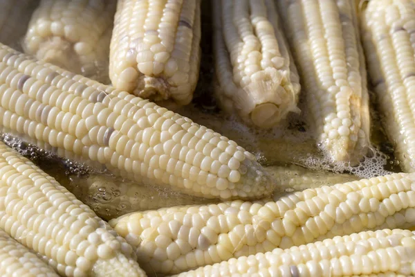 Boiled white corn for sale on street food market in Thailand , closeup