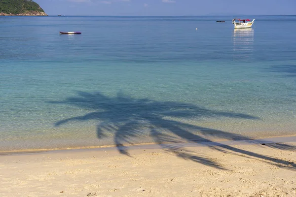 태국의 푸른 바닷물 근처 모래 해변 위에 그림자 코코넛 야자수. 여름, 여행, 휴가 및 휴가 개념 — 스톡 사진
