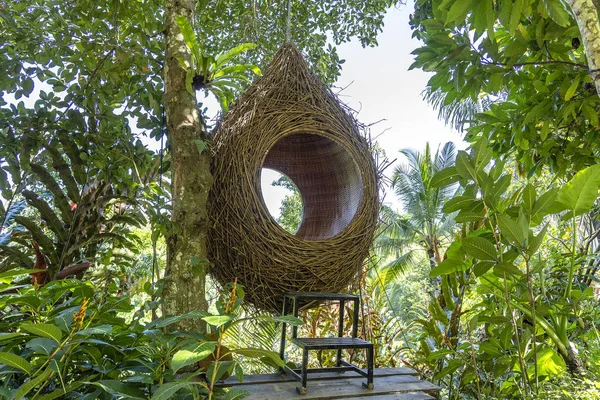 Зона отдыха птичьего гнезда в джунглях возле рисовых террас на острове Бали, Индонезия — стоковое фото