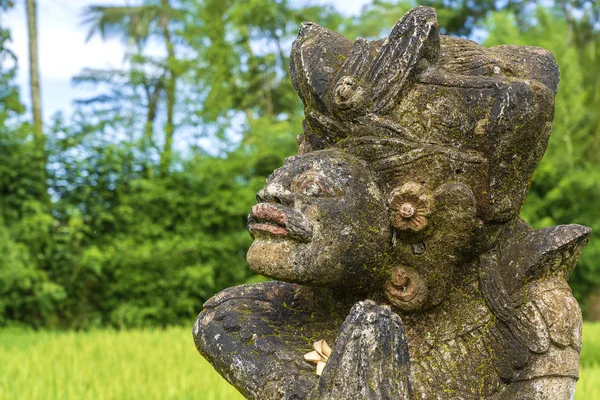 Traditional Balinese stone statuette of the deity in the street near green rice terraces. Island Bali, Indonesia . Close up — Stock Photo, Image