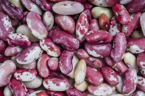 Antecedentes de muchos granos de frijoles secos. Textura de frijoles rojos. Fondo alimenticio. De cerca. Fondo y textura de frijol — Foto de Stock