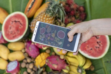 Kadın el tropikal meyve telefon fotoğrafçılığı almak. Tatlı Mango, papaya, pitahaya, muz, karpuz, ananas. RAW Vegan Vejetaryen Sağlıklı gıda