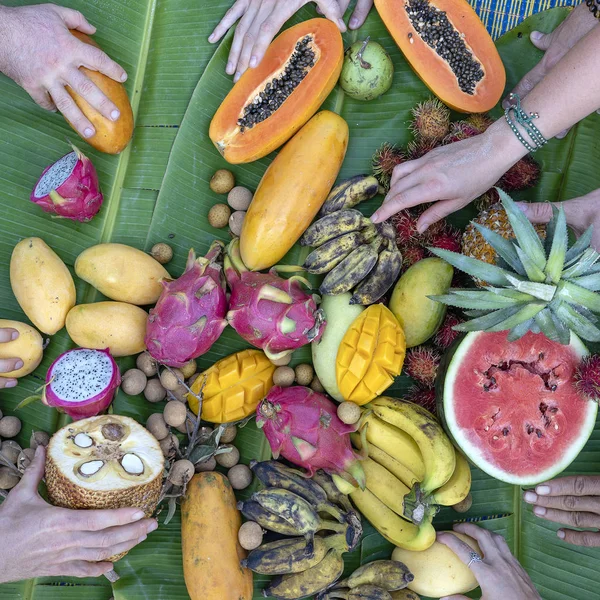 Tropiska frukter sortiment på en grön bananblad och människor händer. Smaskiga dessert, närbild. Mango, papaya, pitahaya och händer, uppifrån — Stockfoto