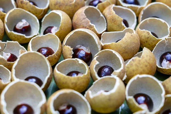 La cáscara y el hueso de la fruta tailandesa longan. Cáscara de piel de Longan y fondo de grano. Fruta exótica en Tailandia, primer plano — Foto de Stock