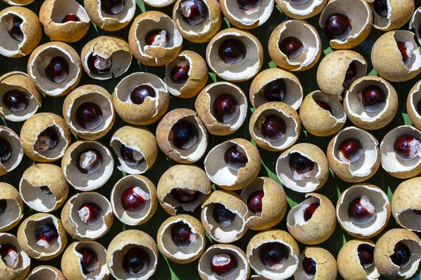 Skořápka a kost z thajského ovocného Longu. Ulpící slupka a obilné pozadí. Exotické ovoce v Thajsku, zaostřená — Stock fotografie