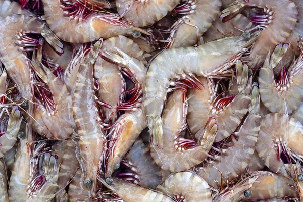 Meer frische Garnelen auf dem Wochenmarkt in Thailand. Meeresfrüchte-Konzept. — Stockfoto