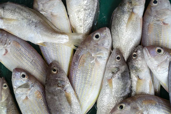 Pesce fresco di mare al mercato di strada in Thailandia. Concetto di frutti di mare . — Foto Stock